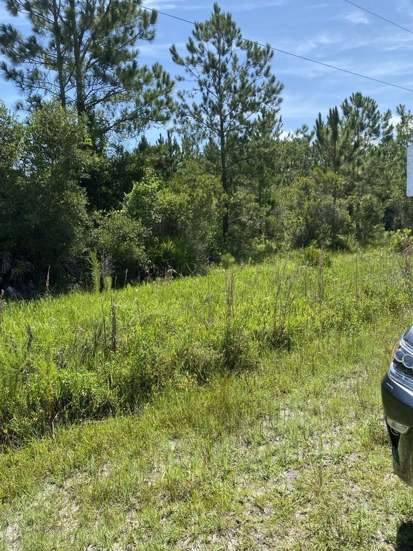 550 W River Road Palatka FL 32177