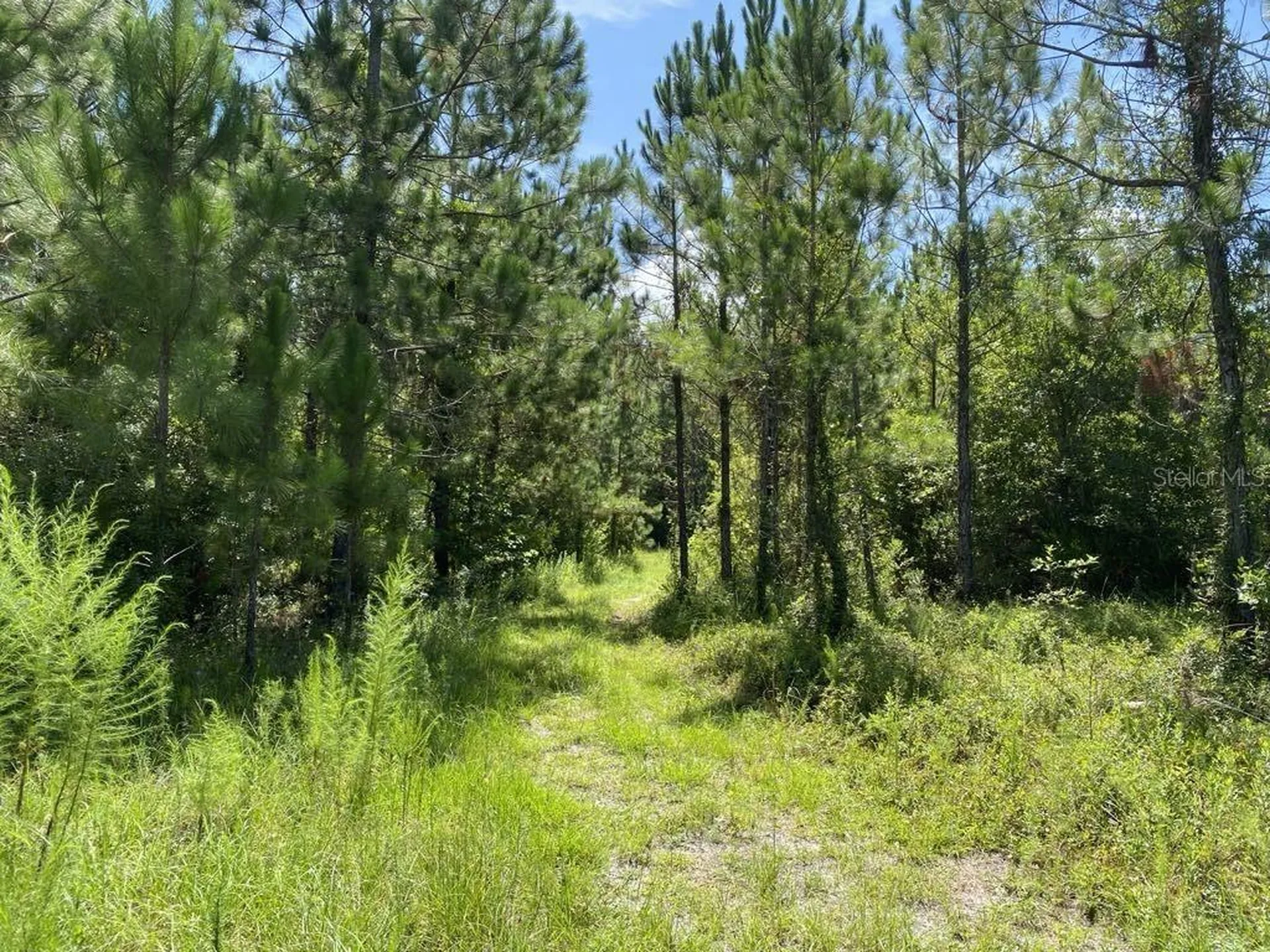 550 W River Road Palatka FL 32177