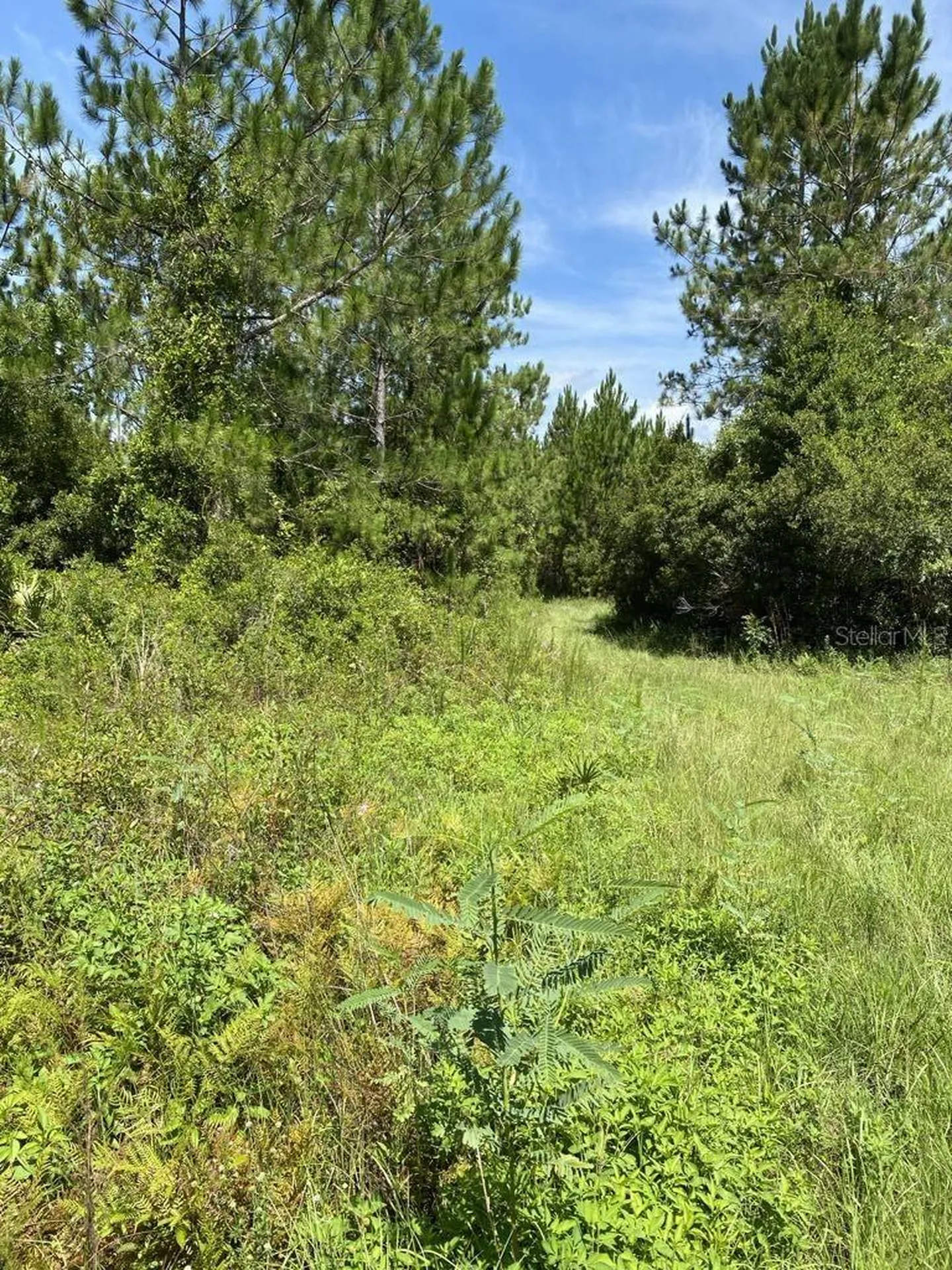 550 W River Road Palatka FL 32177