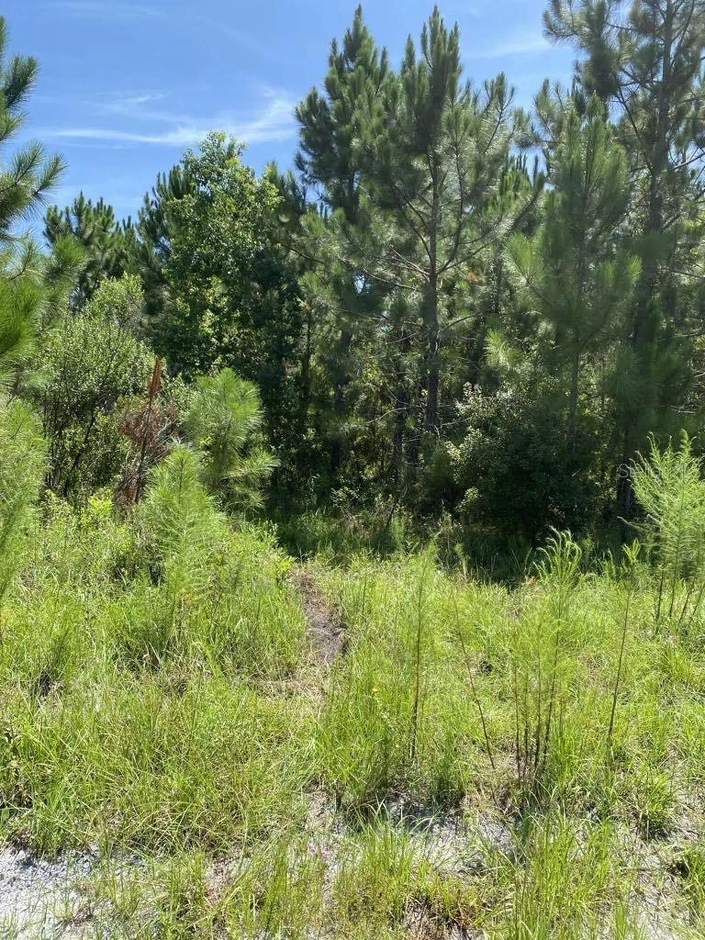 550 W River Road Palatka FL 32177