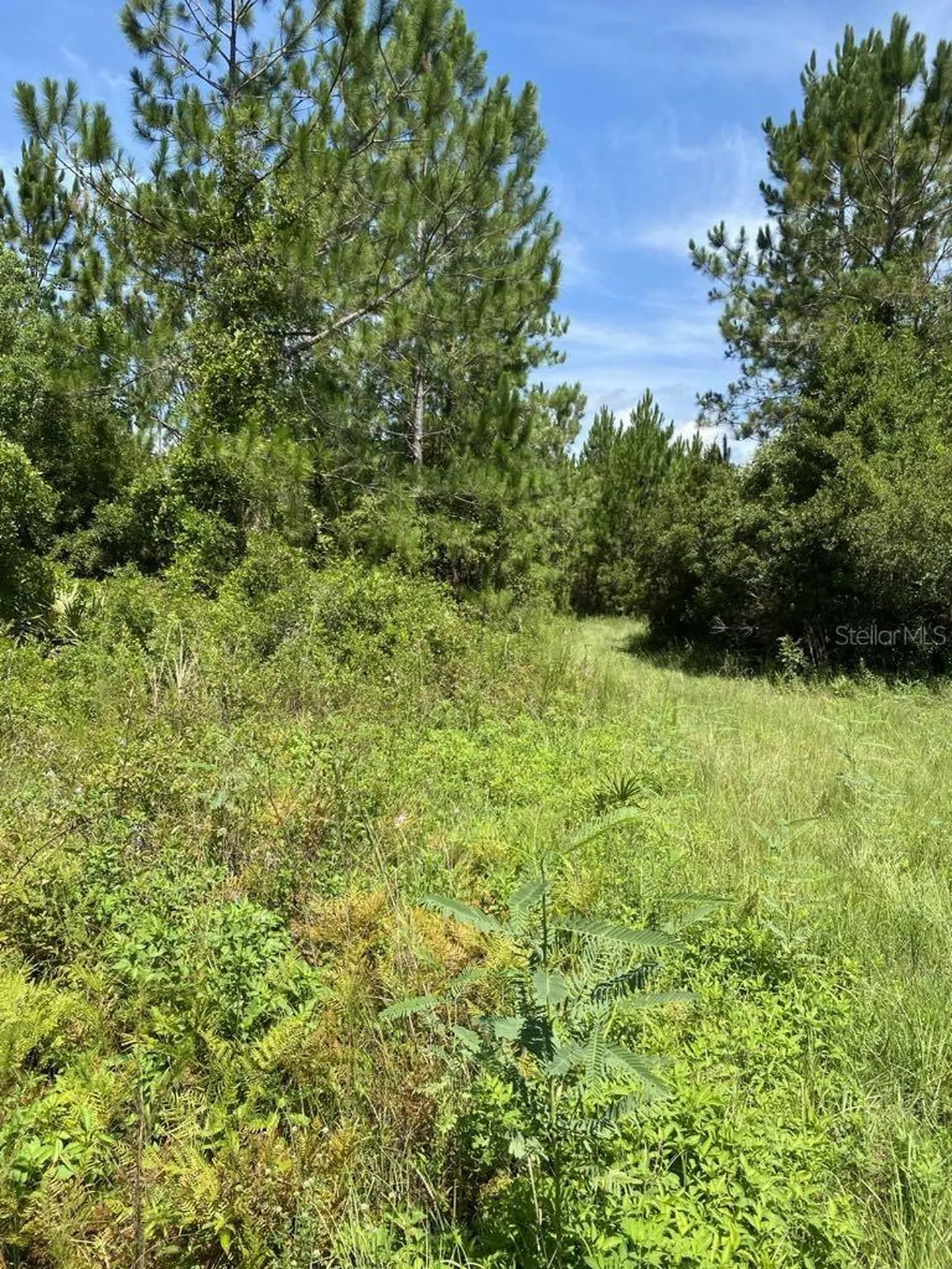 550 W River Road Palatka FL 32177