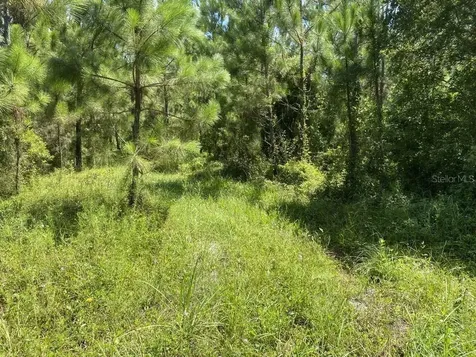 550 W River Road Palatka FL 32177