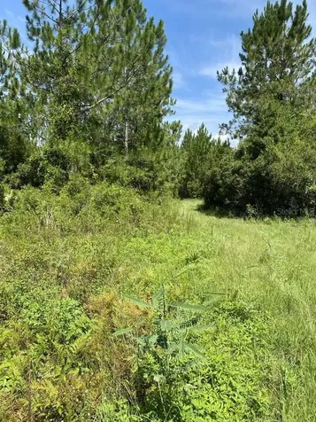 550 W River Road Palatka FL 32177