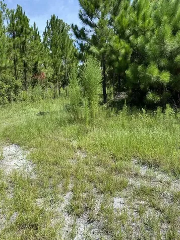 550 W River Road Palatka FL 32177
