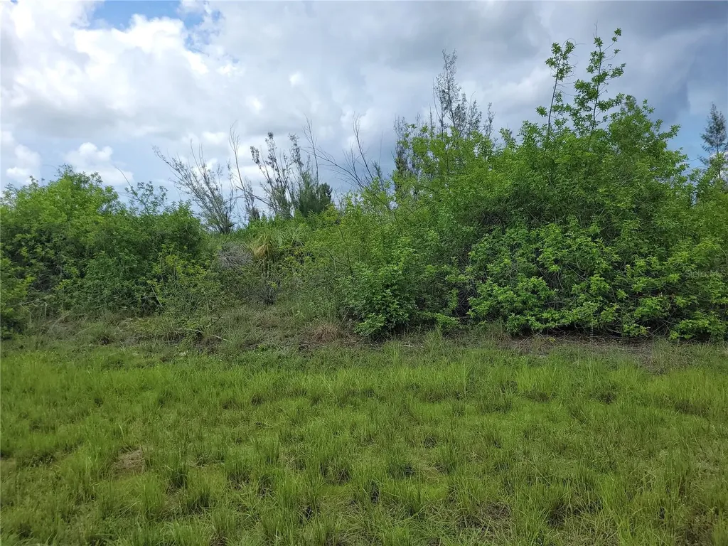 10136 Amy Terrace Port Charlotte FL 33981