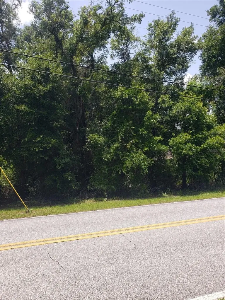 Reynolds Road De Leon Springs FL 32130