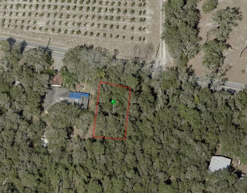 Reynolds Road De Leon Springs FL 32130