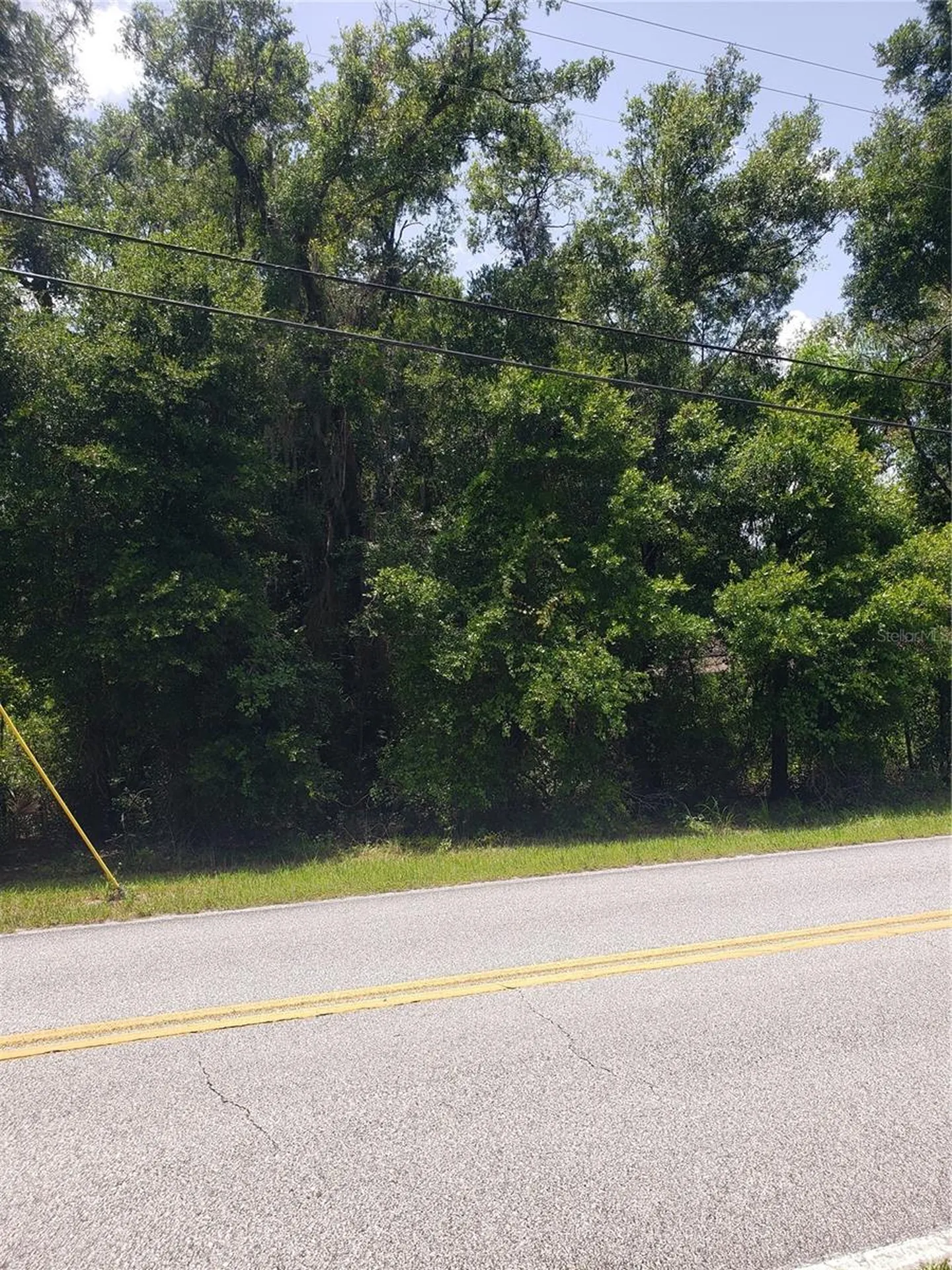 Reynolds Road De Leon Springs FL 32130