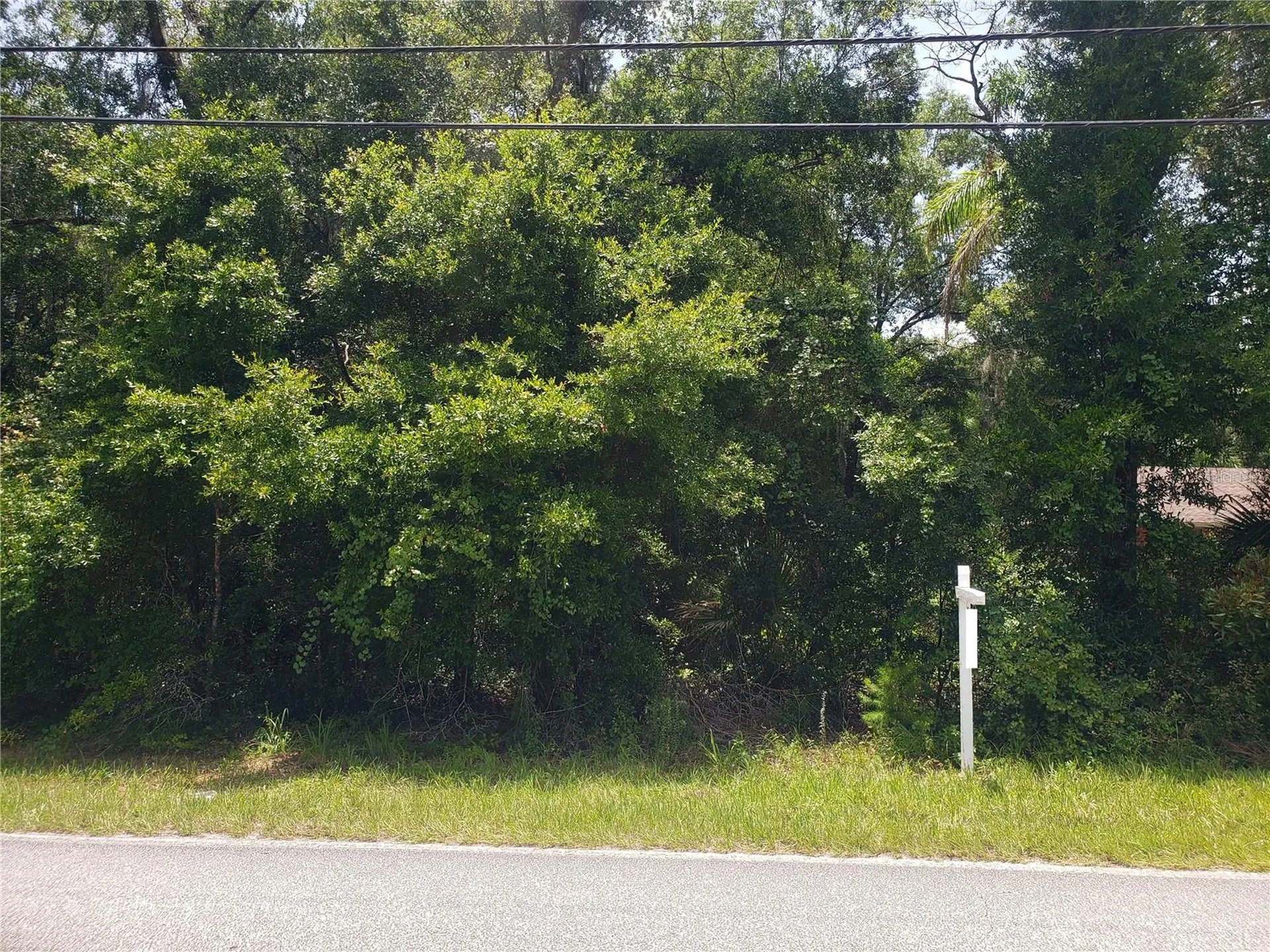 Reynolds Road De Leon Springs FL 32130