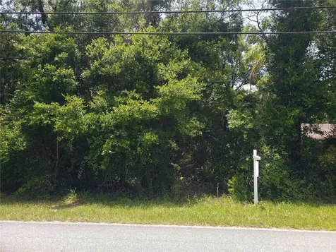 Reynolds Road De Leon Springs FL 32130