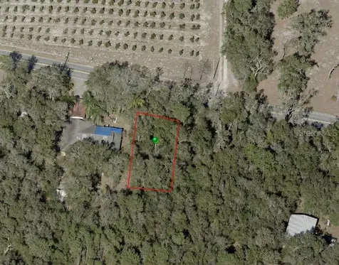 Reynolds Road De Leon Springs FL 32130