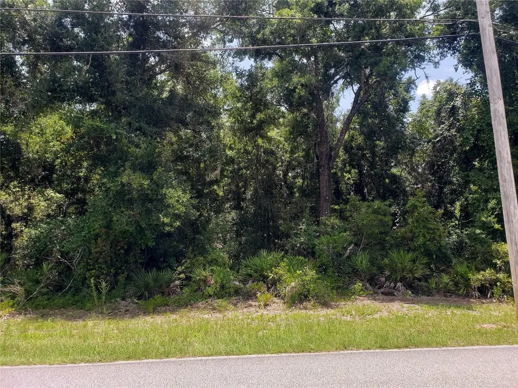 Reynolds Road De Leon Springs FL 32130