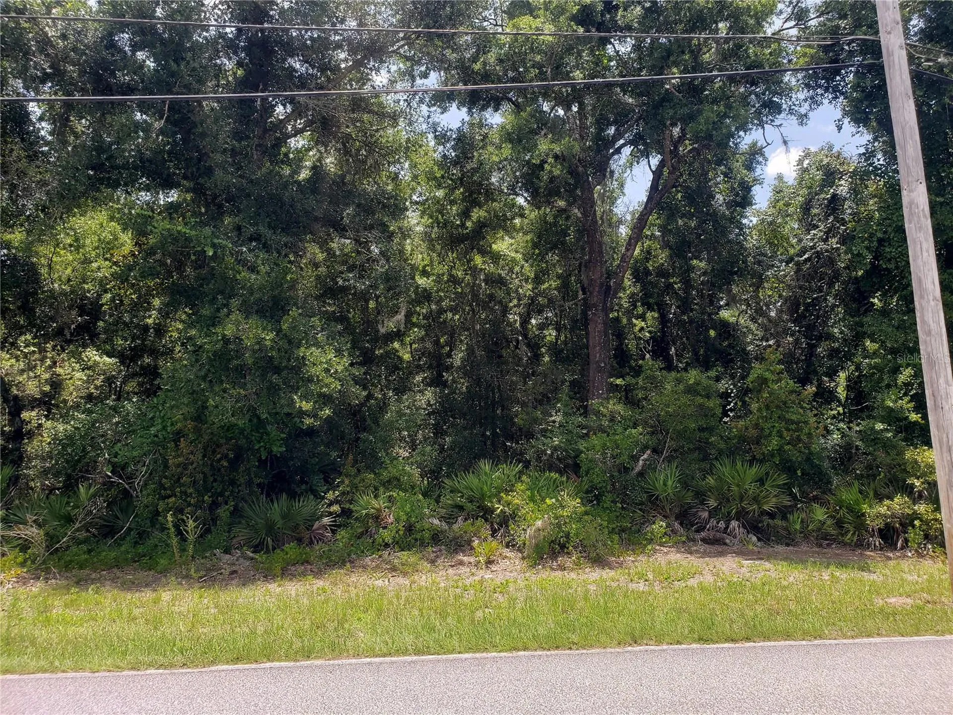 Reynolds Road De Leon Springs FL 32130