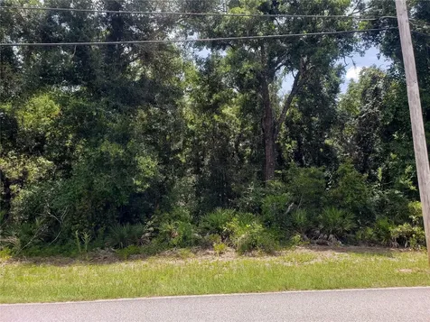 Reynolds Road De Leon Springs FL 32130