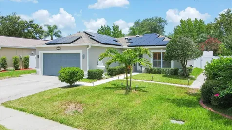 4504 Horseshoe Pick Lane Valrico FL 33594