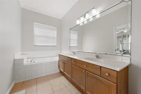2902 River Birch Drive Kissimmee FL 34741