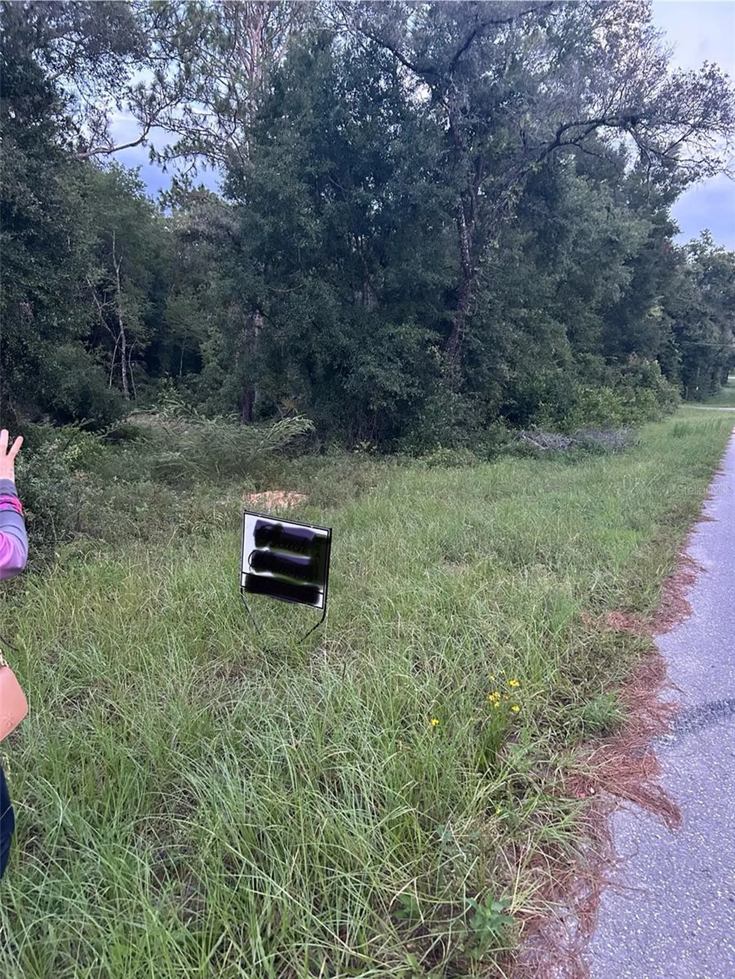 Lot 20 NE 155th Court Williston FL 32696