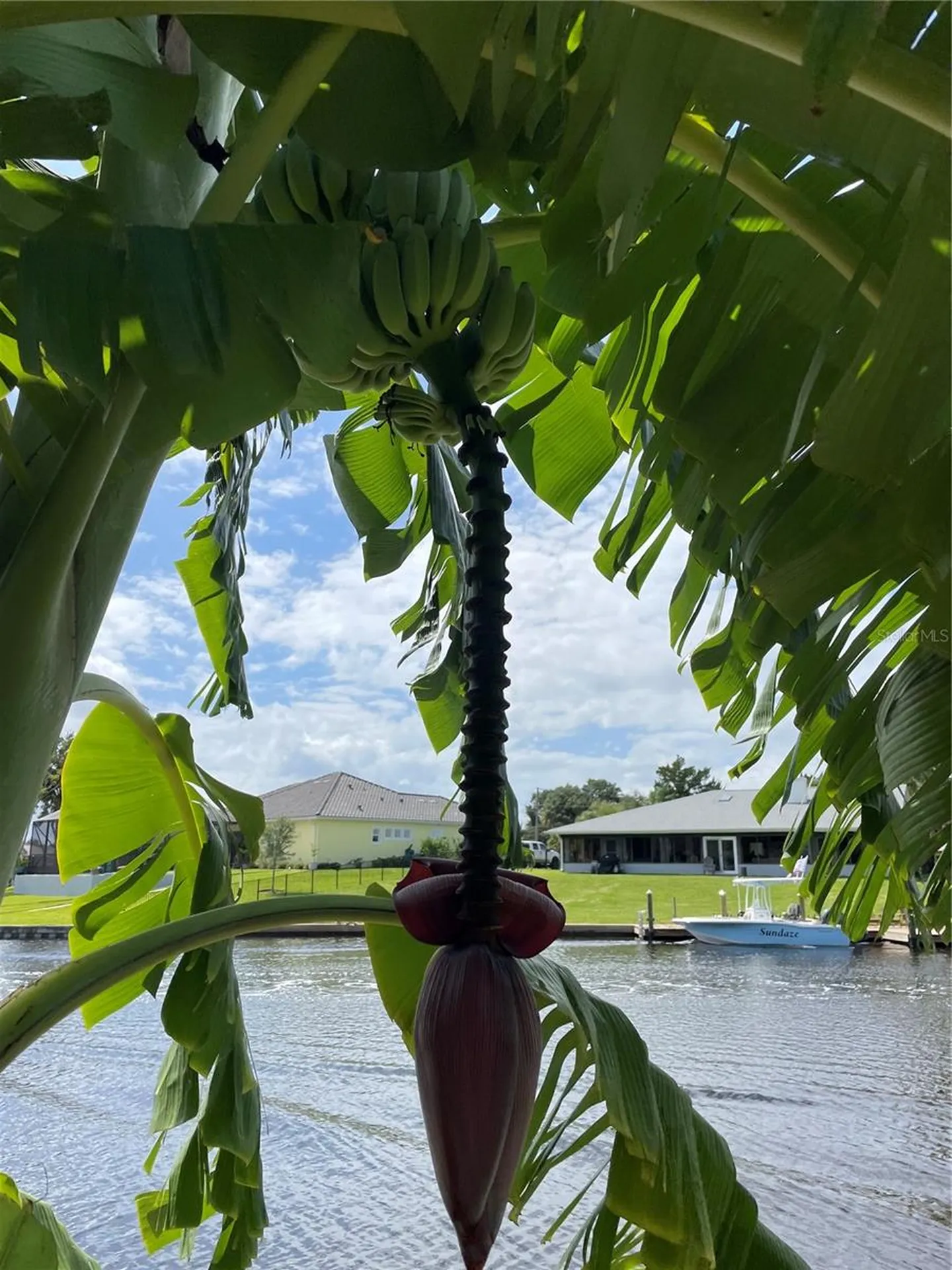 3 Creek Court Palm Coast FL 32137
