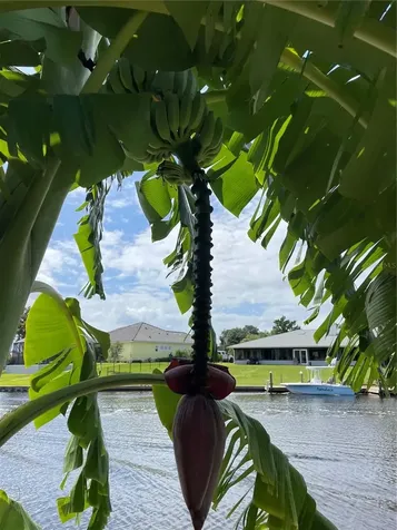 3 Creek Court Palm Coast FL 32137