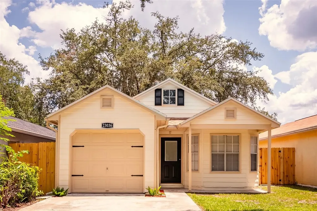23036 Dover Drive Land O Lakes FL 34639