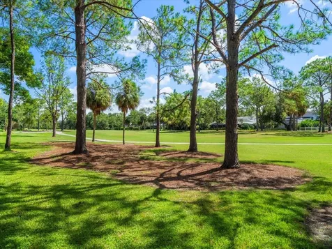 4405 Carrollwood Village Drive Tampa FL 33618