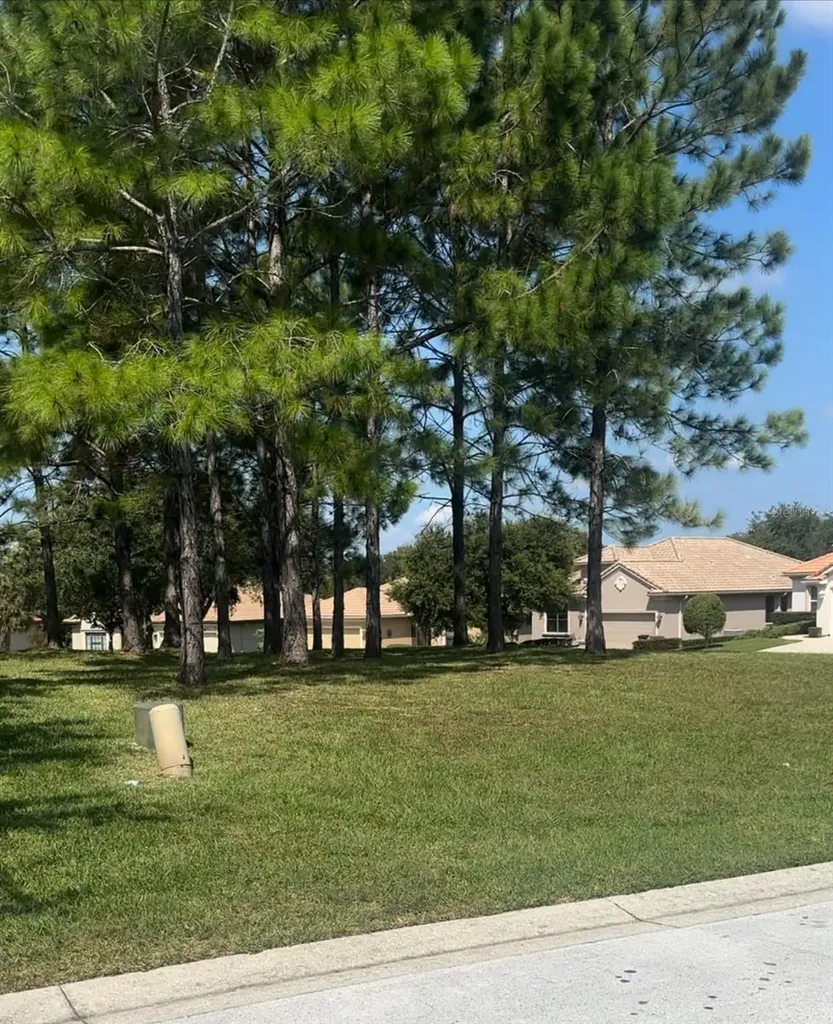 994 W Silver Meadow Loop Hernando FL 34442