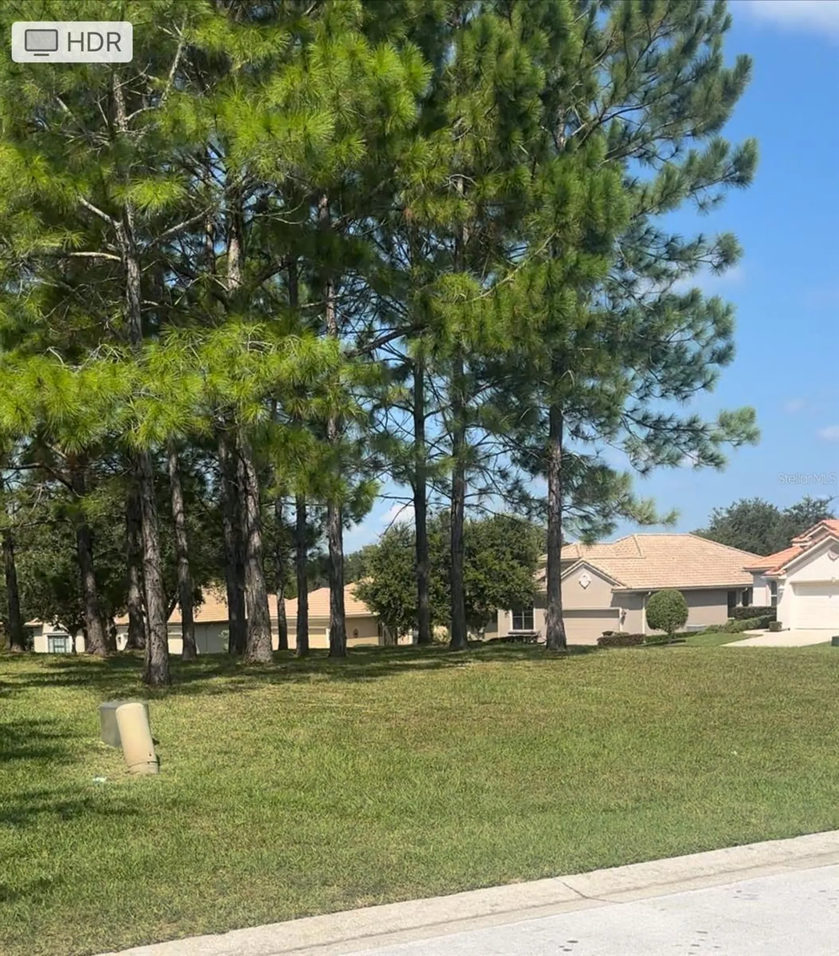 994 W Silver Meadow Loop Hernando FL 34442