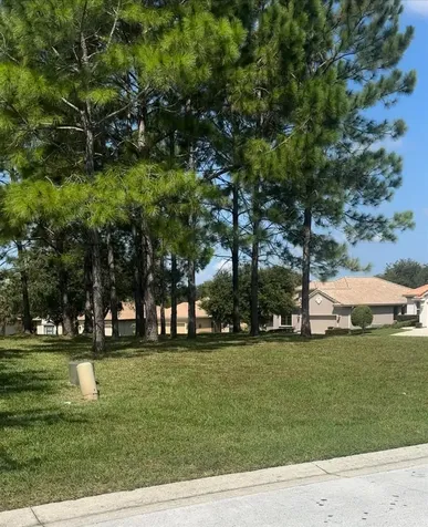 994 W Silver Meadow Loop Hernando FL 34442