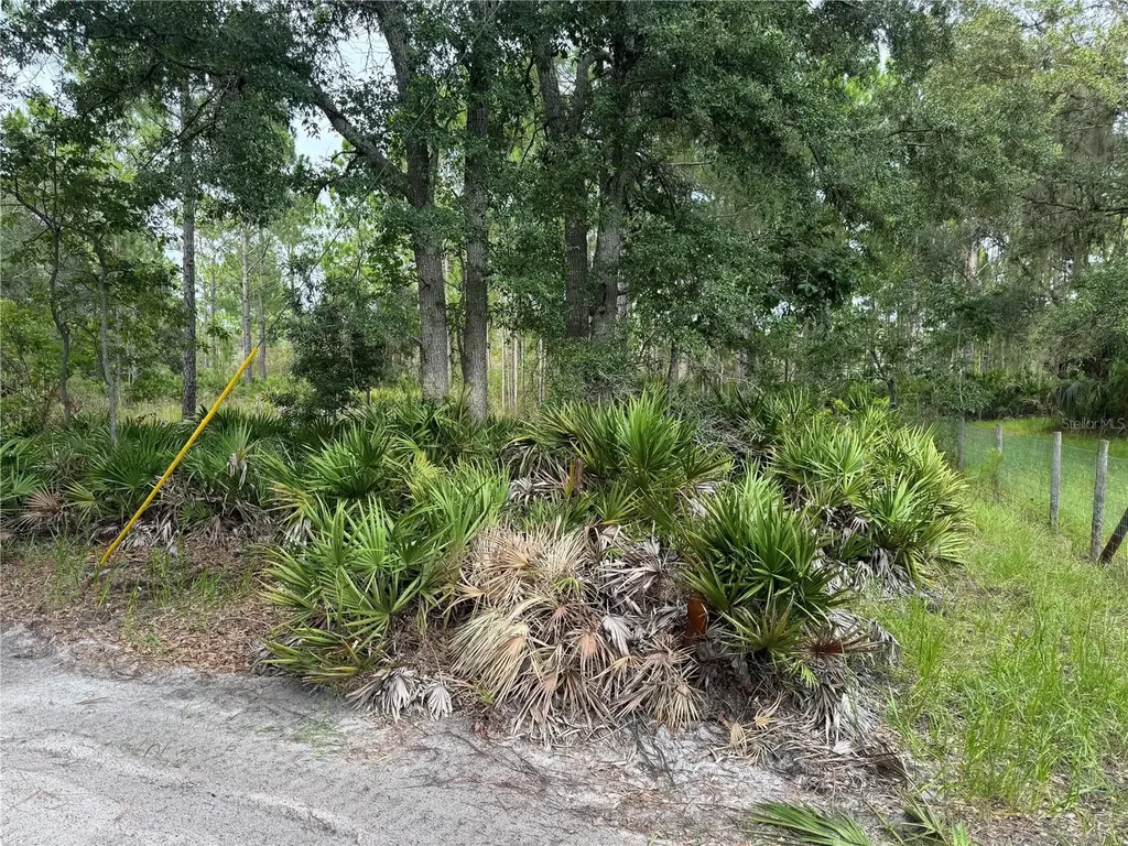 00 SW 103rd Court Cedar Key FL 32625