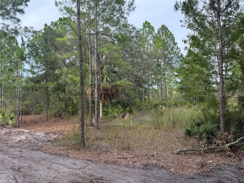 00 SW 103rd Court Cedar Key FL 32625
