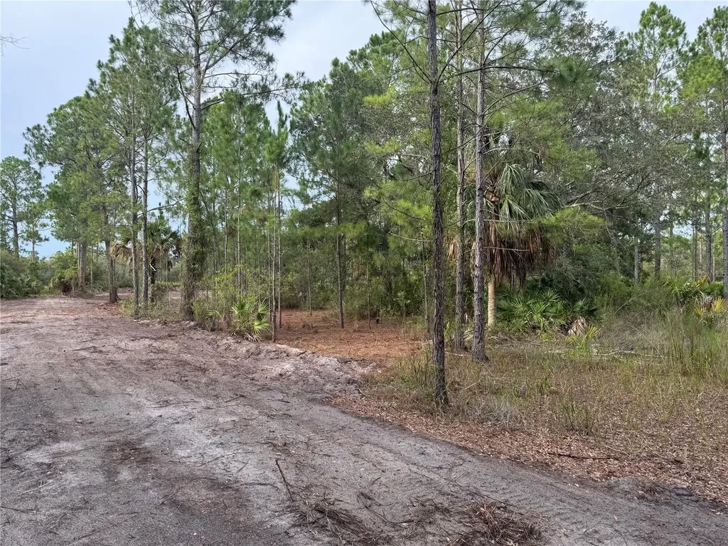 00 SW 103rd Court Cedar Key FL 32625