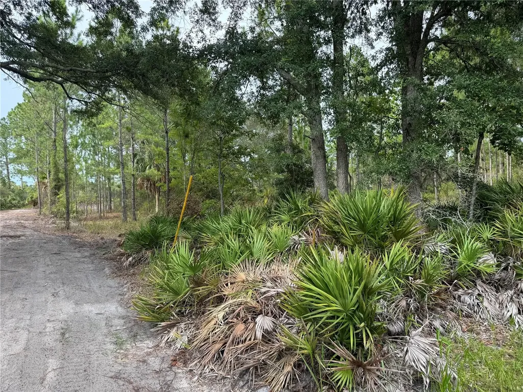 00 SW 103rd Court Cedar Key FL 32625