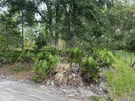 00 SW 103rd Court Cedar Key FL 32625