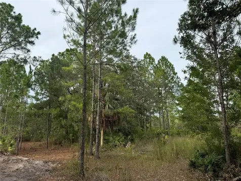 00 SW 103rd Court Cedar Key FL 32625