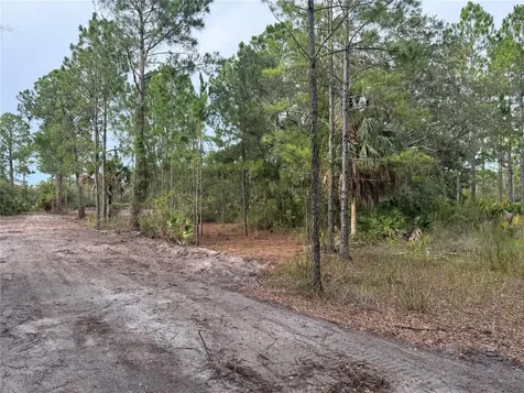 00 SW 103rd Court Cedar Key FL 32625