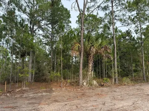 00 SW 103rd Court Cedar Key FL 32625