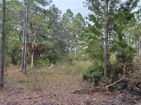 00 SW 103rd Court Cedar Key FL 32625