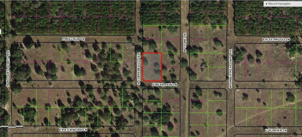 229 N Copperfield Terrace Inverness FL 34453