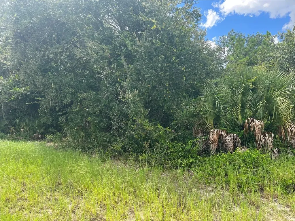 19164 Richmond Avenue Port Charlotte FL 33954
