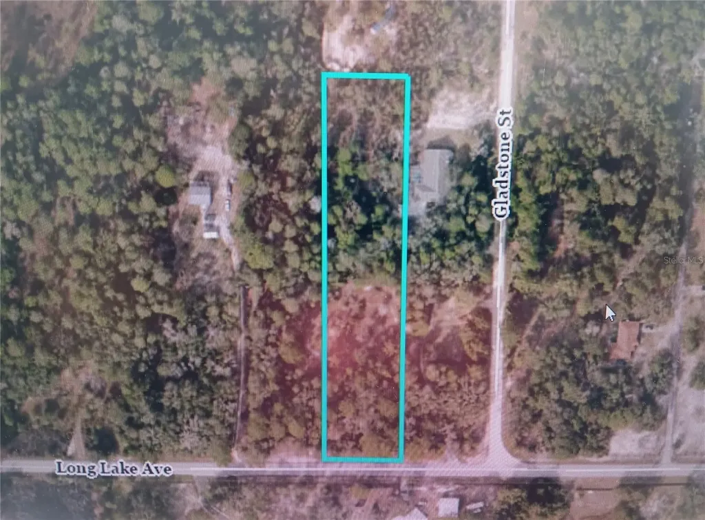 9167 Long Lake Avenue Weeki Wachee FL 34613