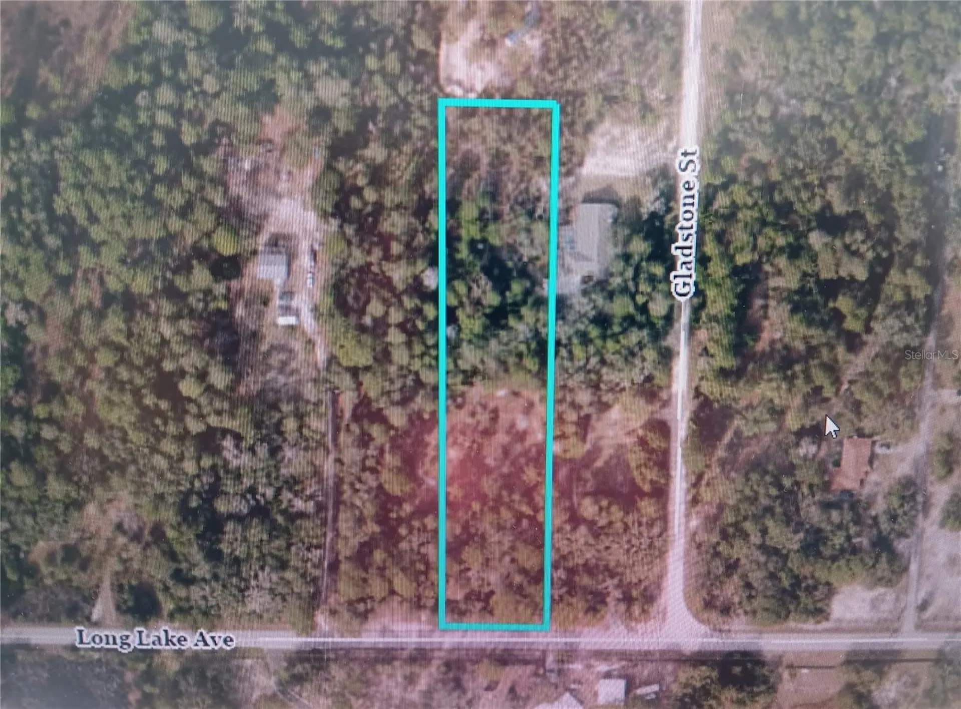 9167 Long Lake Avenue Weeki Wachee FL 34613