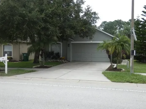 30607 Birdhouse Drive Wesley Chapel FL 33545