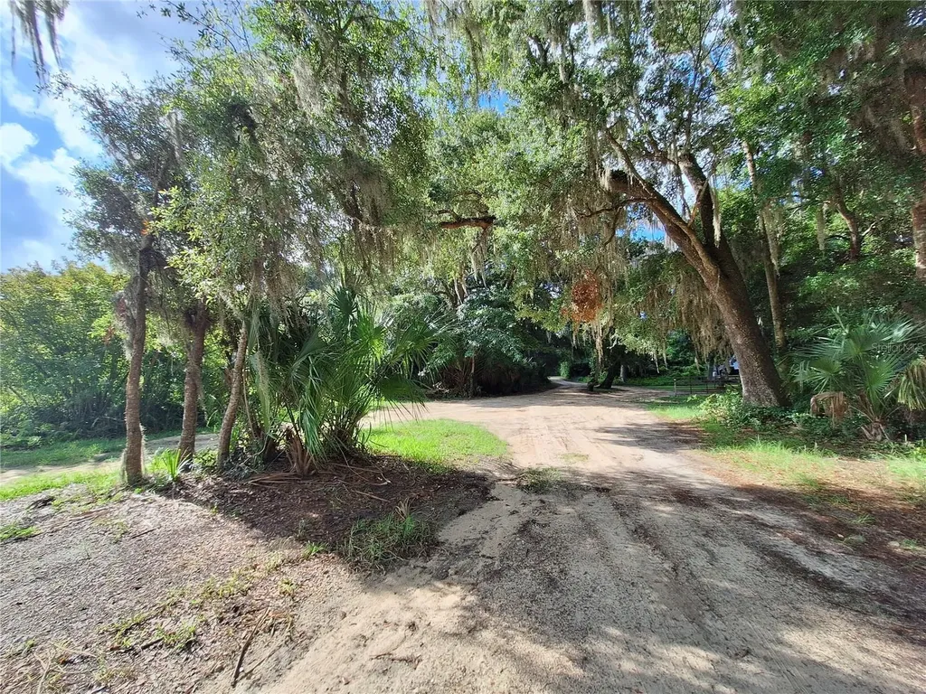0 NE 135th Street Fort Mc Coy FL 32134