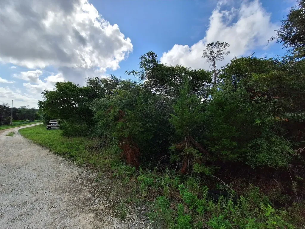 0 NE 135th Street Fort Mc Coy FL 32134