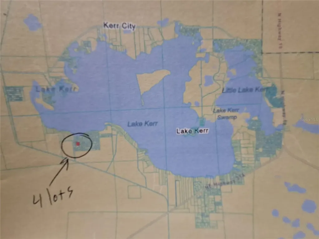 0 NE 135th Street Fort Mc Coy FL 32134