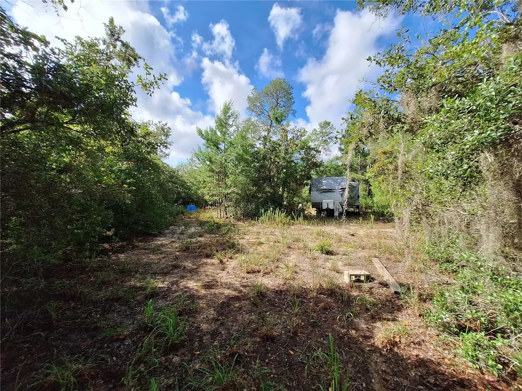 0 NE 135th Street Fort Mc Coy FL 32134