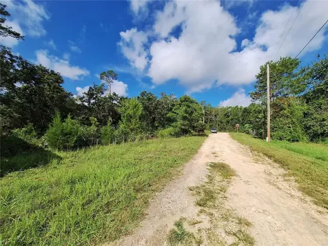 0 NE 135th Street Fort Mc Coy FL 32134