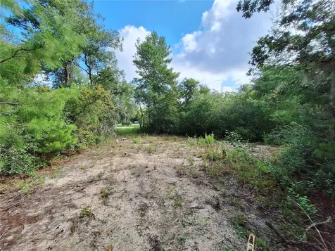 0 NE 135th Street Fort Mc Coy FL 32134