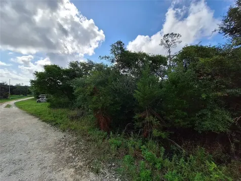 0 NE 135th Street Fort Mc Coy FL 32134