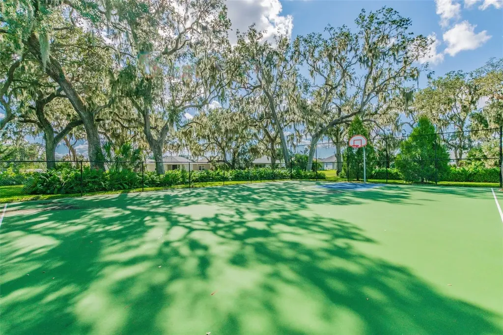 10417 Crooked Creek Court Parrish FL 34219
